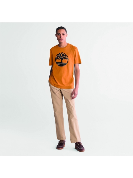 3_t-shirt-bio-brand-tree-wheat.jpg