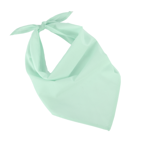 17_bandana-personalizzabile-con-logo-economica-stampasi-frost-green.png