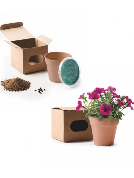 Vaso con semi personalizzabile Petunia