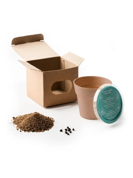 Vaso con semi personalizzabile Petunia