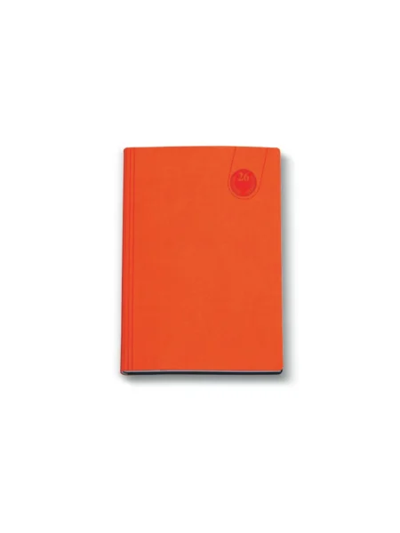 Agenda giornaliera fustellata personalizzata Multicolor 11 x 17