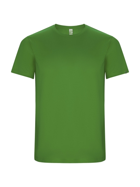 t-shirt-sportiva-a-maniche-corte-da-uomo-imola-green-fern.jpg