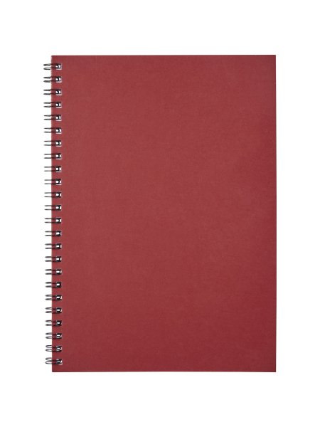 blocco-note-a5-colorato-con-spirale-desk-mater-rosso-11.jpg