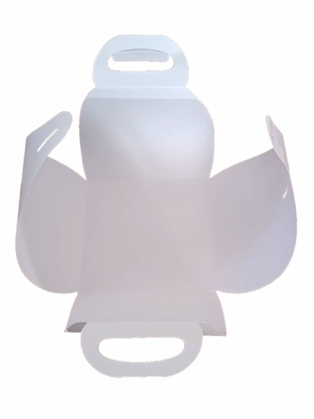 4_scatola-porta-torta-39-x-39-x-15-cm-stampa-a-caldo-2-lati.jpg