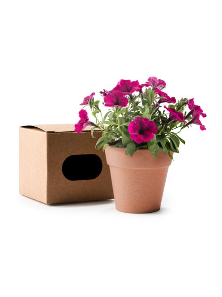 Semi di petunia in vaso personalizzato Roly Volen
