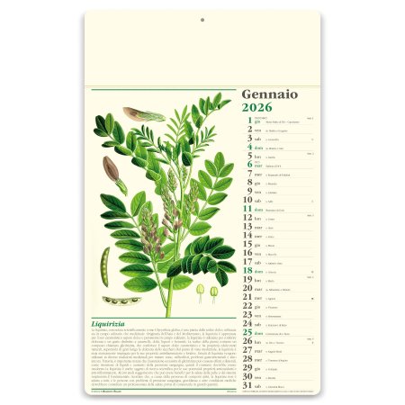 Calendario erboristeria 31 x 52,5 cm formato olandese personalizzato