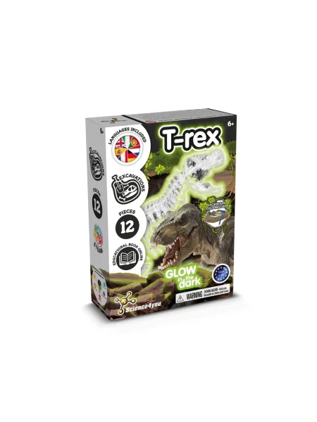 fossil-excavation-kit-i-gioco-educativo-per-bambini-assortito-8.webp