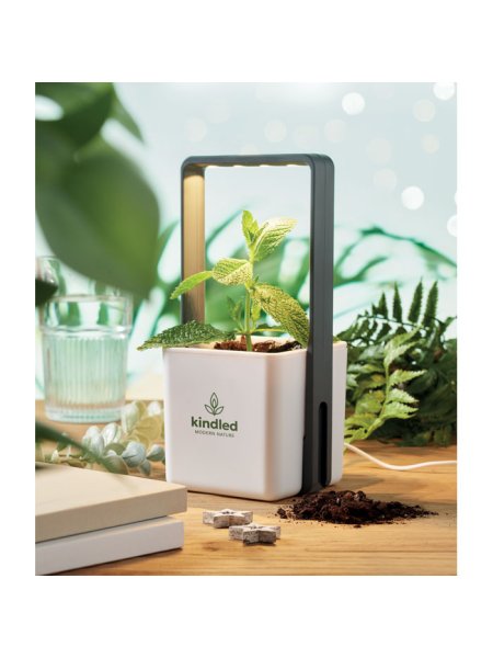 Vaso da interno con luce a 4 LED Lushlet