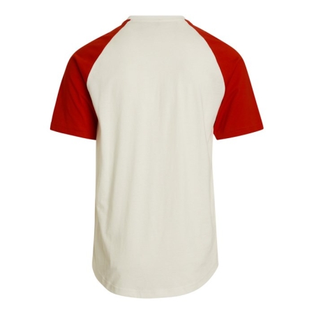 1_t-shirt-raglan-personalizzata-in-cotone-155-g.jpg