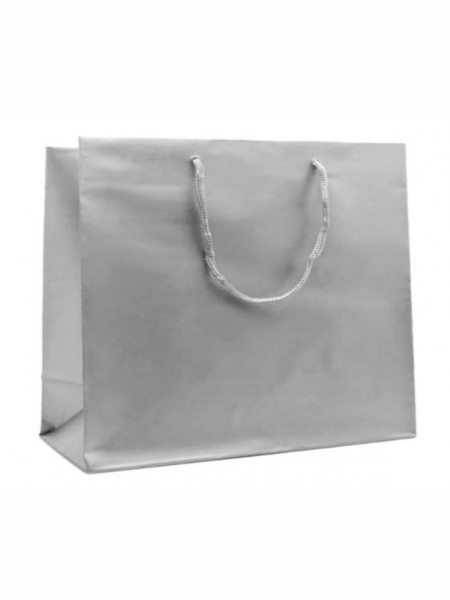 buste-di-carta-plastificate-opache-colorate-lusso-38x13x316-cm-argento.jpg