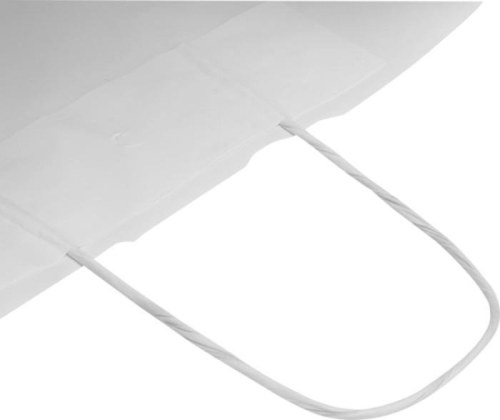 6_sacchetto-di-carta-da-80-90-g-m2-con-manici-intrecciati-25-x-15-x-32-cm-kraft.jpg