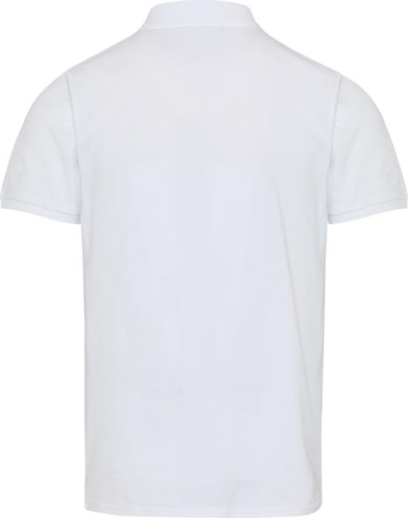 4_polo-a-maniche-corte-unisex-in-tessuto-biologico-riciclato-certificato-ocs-da-220-g-m2-beryl.jpg
