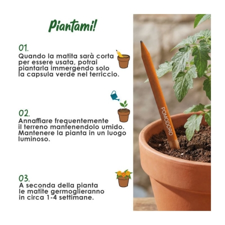 1_matita-in-carta-piantabile-personalizzabile-piantami-calendula.jpg