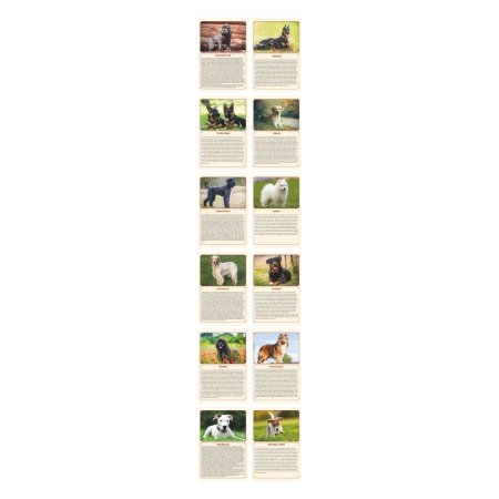 3_calendario-illustrato-anticato-personalizzabile-cani-di-razza-155-x-54-cm.webp