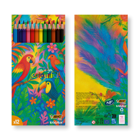 set-da-12-matite-colorate-bicr-kids-evolutionr-colouring.png