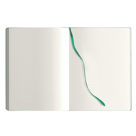 25_notes-maxi-calamus-verde.jpg