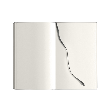 14_notes-calamus-nero.jpg