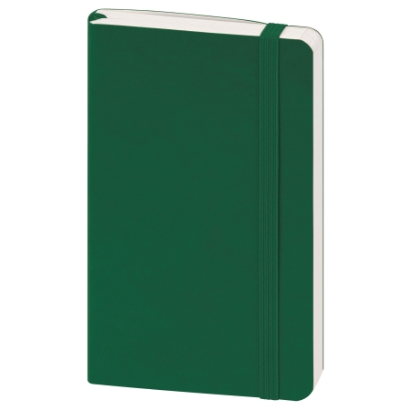 25_notes-calamus-verde.jpg