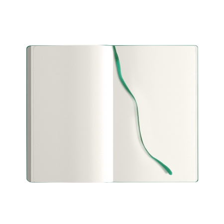 26_notes-calamus-verde.jpg