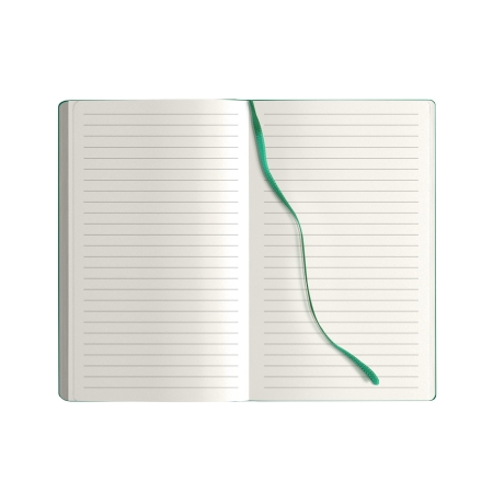 28_notes-calamus-verde.jpg
