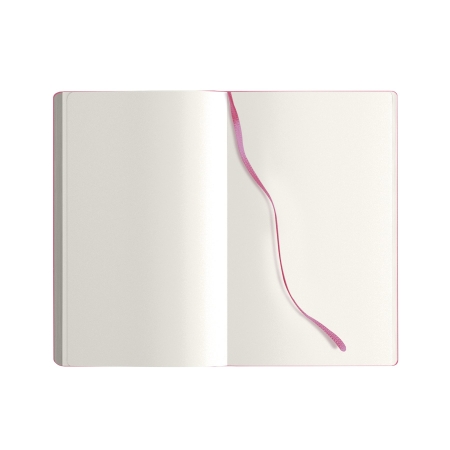 9_notes-calamus-fuxia.jpg