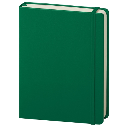 25_notes-maxi-calamus-verde.jpg