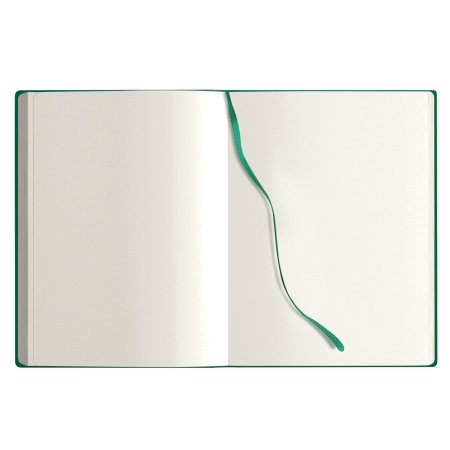 27_notes-maxi-calamus-verde.jpg