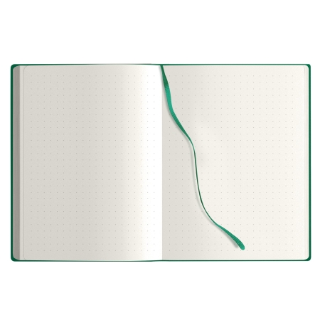 28_notes-maxi-calamus-verde.jpg