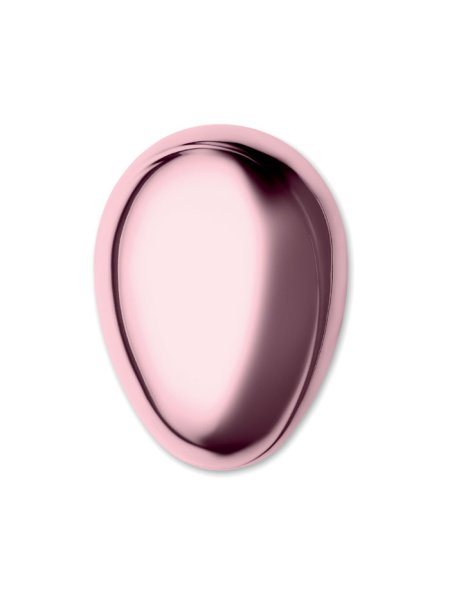 spazzola-scioglinodi-rosa-10.jpg