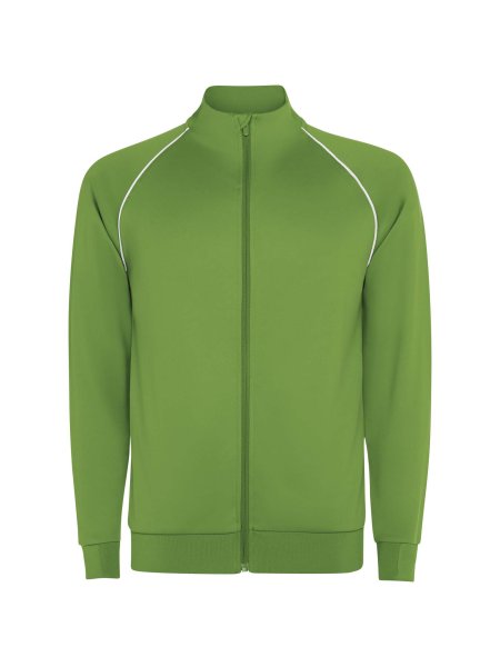 felpa-da-uomo-valier-con-zip-integrale-verde-felce.jpg