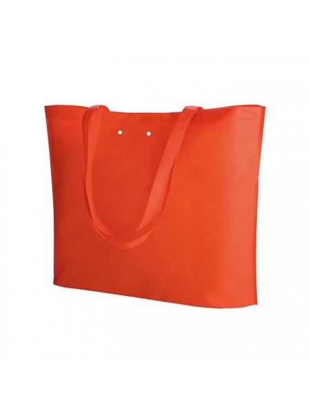 Borsa shopping in tnt Ginevra 50x40x11 cm