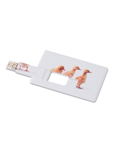 P_e_Penna-USB-Flash-Drive-Card-3_1.jpg