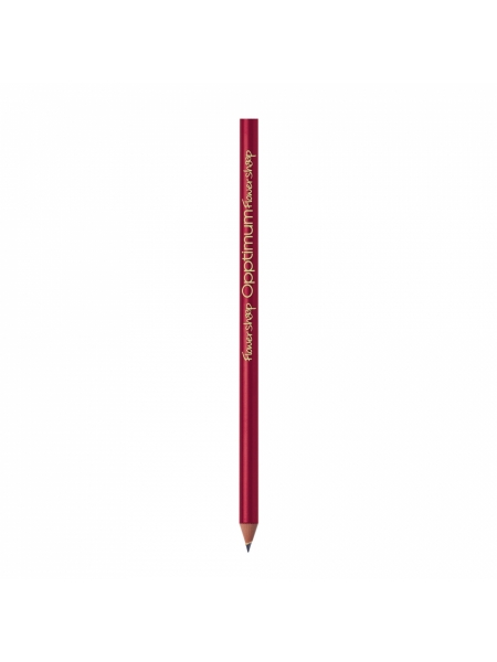 m_a_matite_bic_evolution_classic_cut_ecolutions_-_rosso.jpg