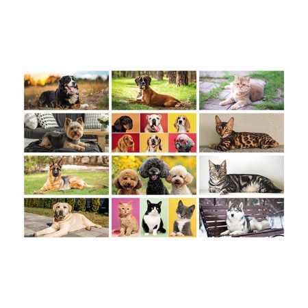 1_calendari-da-tavolo-con-immagini-di-cani-e-gatti-stampasi.jpg