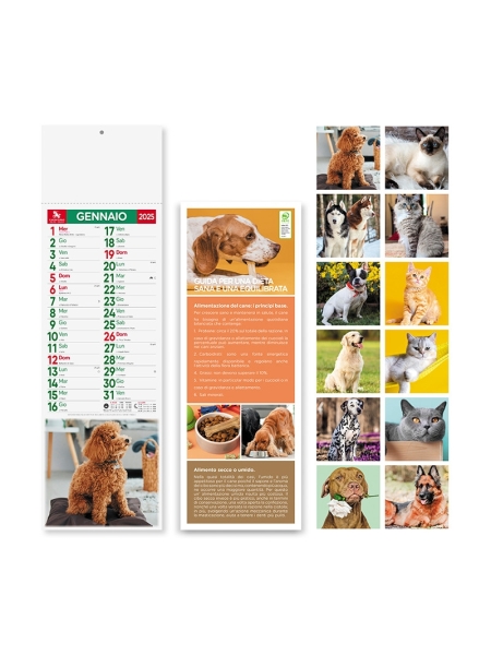1_calendari-illustrati-con-foto-di-cani-e-gatti-da-026-eur-colore-unico.jpg