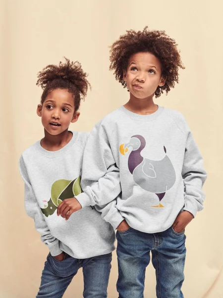 felpa-fruit-of-the-loom-280-g-m2-da-bambino-classic-raglan-sweat-49.webp