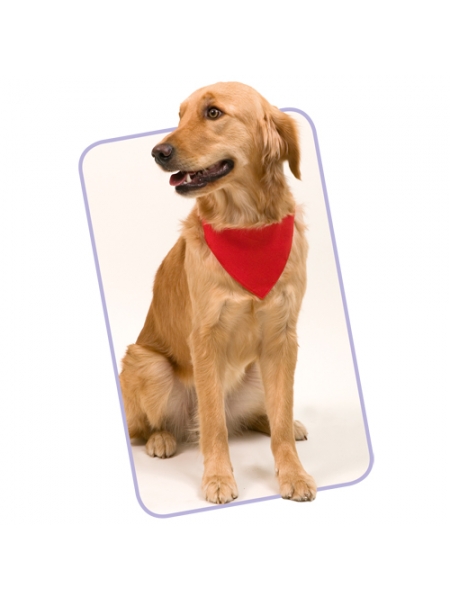 Bandana per animale con cinturino regolabile