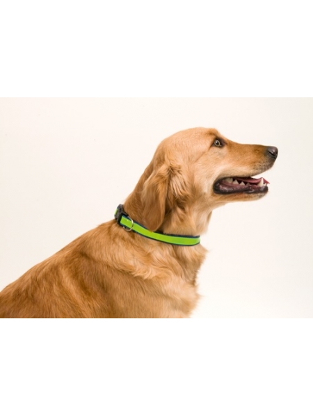 Collari luminosi per cani personalizzati Irvin