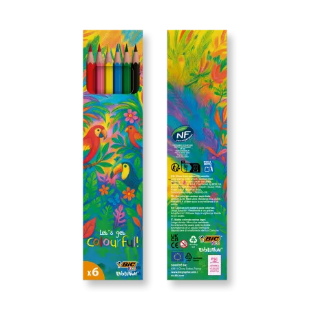 Set da 6 Matite colorate BIC® Kids Evolution® Colouring
